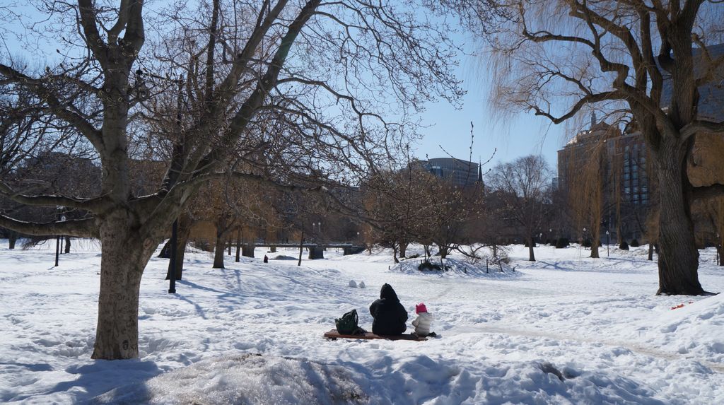 Public Gardens, Boston, on a beautiful late winter day