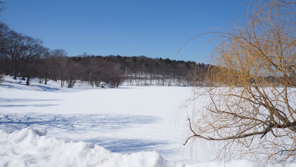 Jamaica Pond, Boston