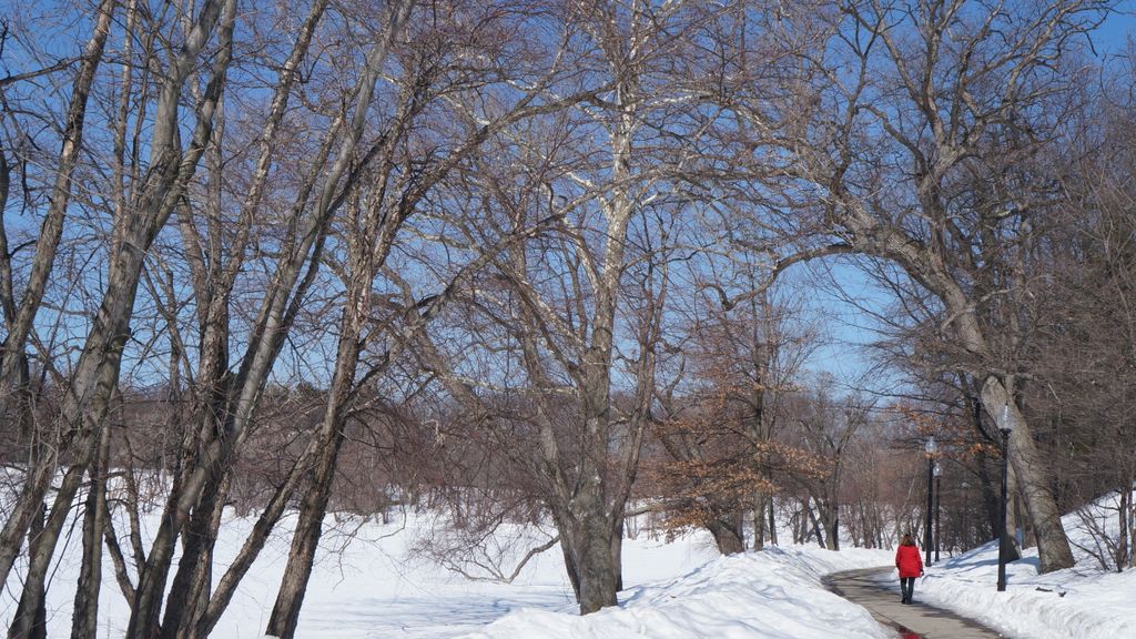 Jamaica Pond, Boston