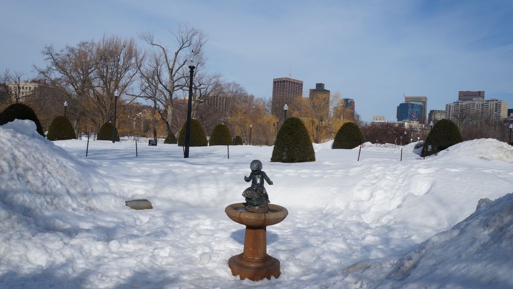 Public Gardens, Boston, on a beautiful late winter day