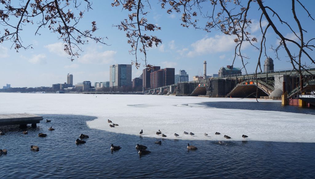 Along the Charles River