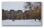 Boston Public Garden