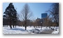 Public Gardens, Boston, on a beautiful late winter day