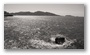 The bay of Marseille, on a late summer day