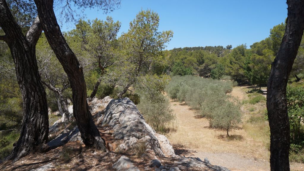 On the slopes of the St. Victoire, nearby Aix-en-Provence