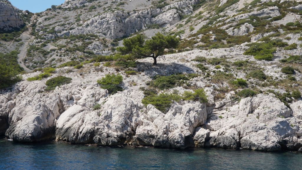 Les Calanques, Marseille (the seashore East of Marseille)