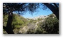 Calanques de Callelongue, at the extreme Eastern side of Marseille