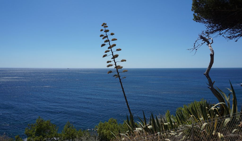 Ensuès-la-Redonne, a small resort north of Marseille, on the Côte Bleu”