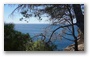 Ensuès-la-Redonne, a small resort north of Marseille, on the Côte Bleu”