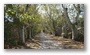 Old style country road around Aix-en-Provence