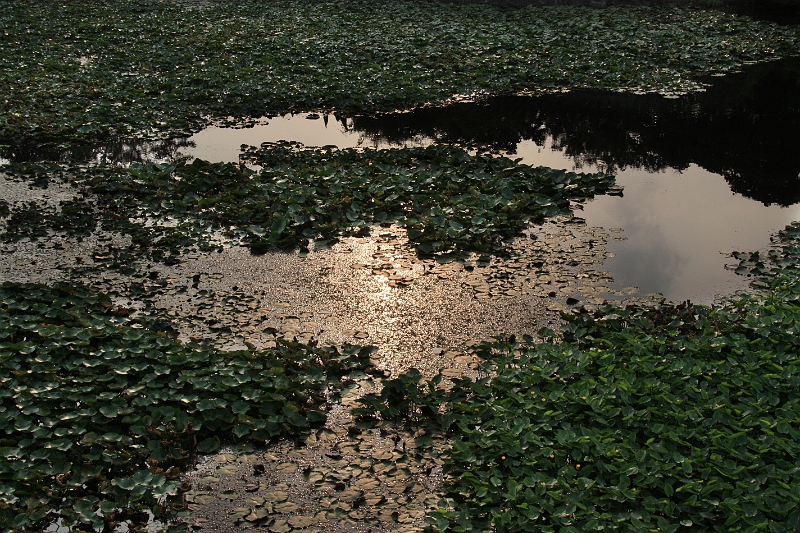 cimg_2224.jpg - Around the West Lake, Hangzhou, China