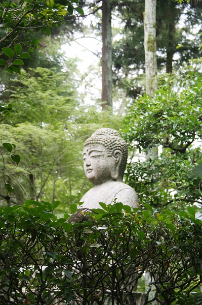 IMG_1244.jpg - Garden of the Ryoan-ji temple