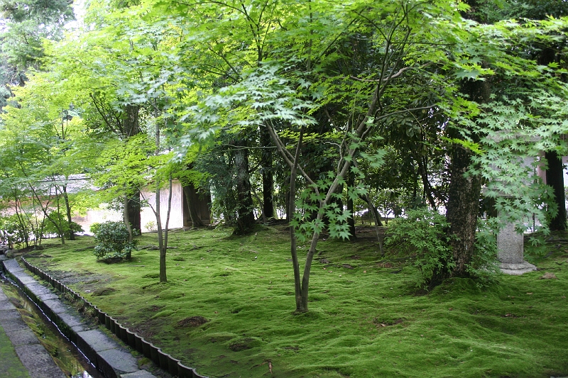 IMG_1264.jpg - The moss garden (just adjacent to the rock garden) in the Ryoan-ji temple
