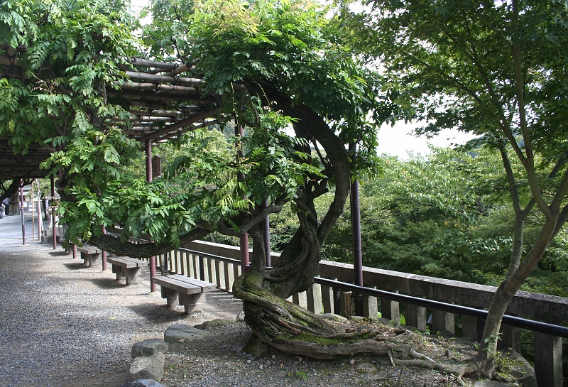 IMG_1407.jpg - Kiyomizu Temple