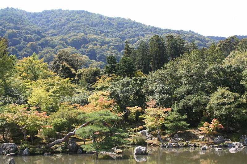 IMG_1657.jpg - Tenryuji temple at Arashiyama