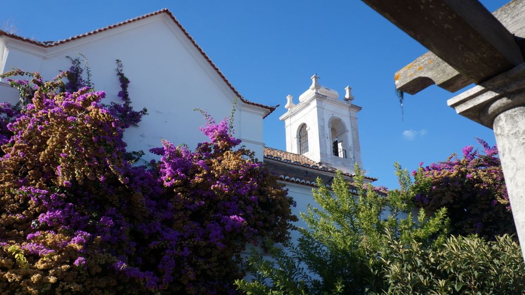 Miradouro de Santa Luzia, Lisbon