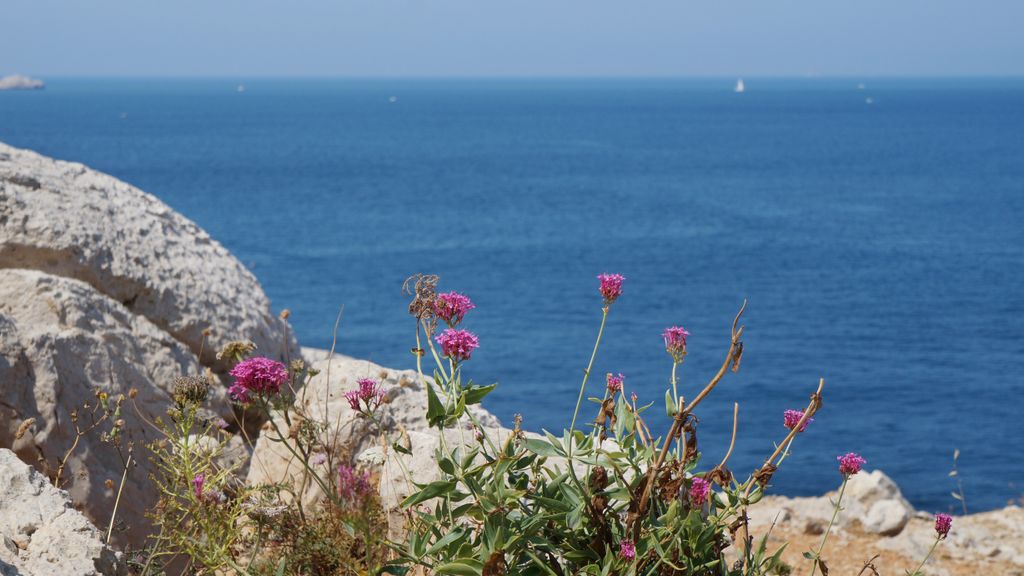 The seashore by la Madrague, a faraway suburb of Marseille