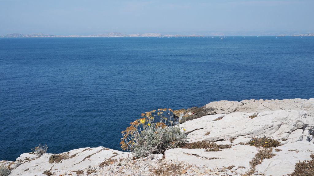 The seashore by la Madrague, a faraway suburb of Marseille