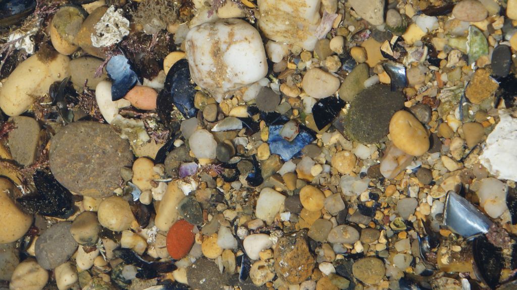 In the old port of Marseille. The water was so clean that one does not even realize that this is the view through about 10cm of water...