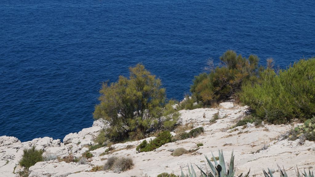 Seashore by Montredon, at the Eastern edge of Marseille