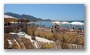 Beach in Marseille (Plage Bonneveine)