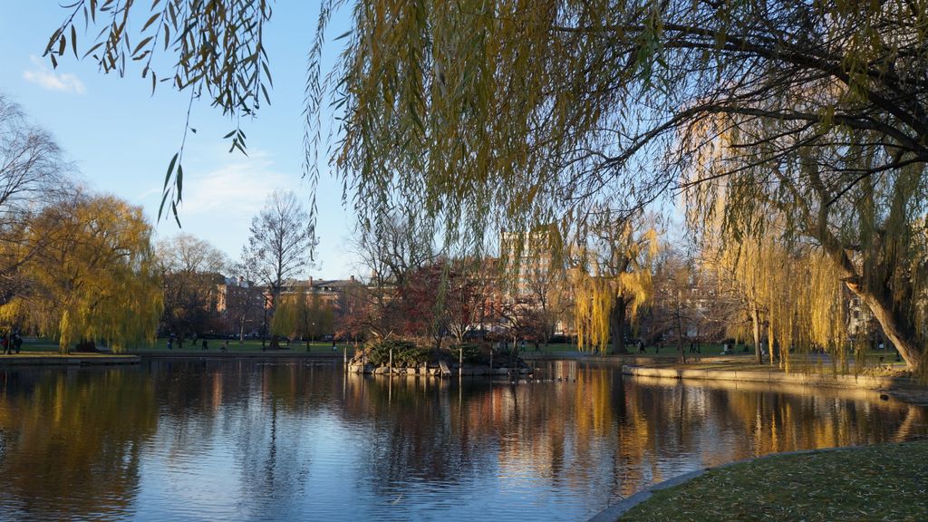 Boston Public Gardens