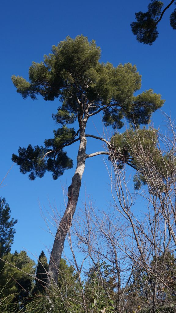 January Colours in Provence...