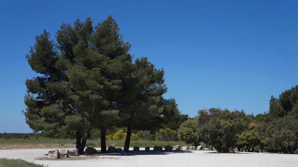 In the forest on the side of the St Victoire, Aix-en-Provence