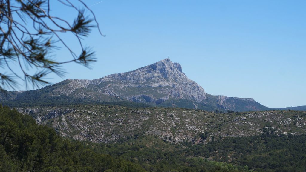 In the forest on the side of the St Victoire (Plateau de Bibémus), Aix-en-Provence