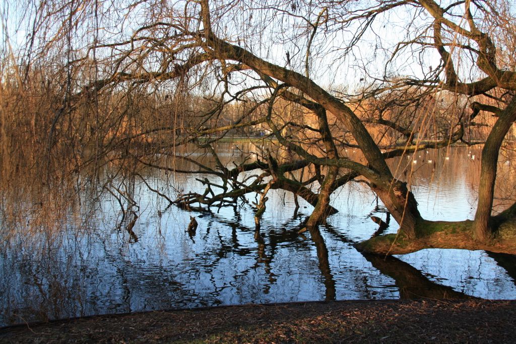 Amsterdam, Vondelpark