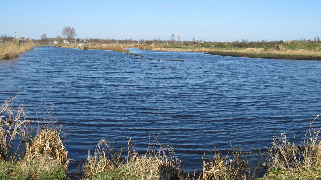 The timid spring in the Netherlands…