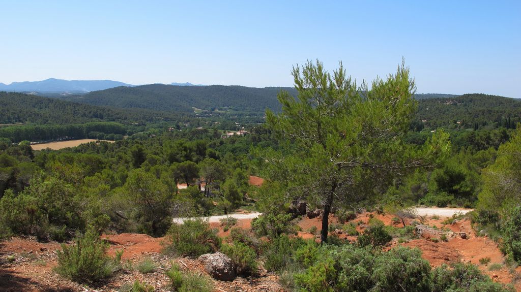 Forest on the slopes of the St Victoire mountain, by le Tholonet, nearby Aix-en-Provence