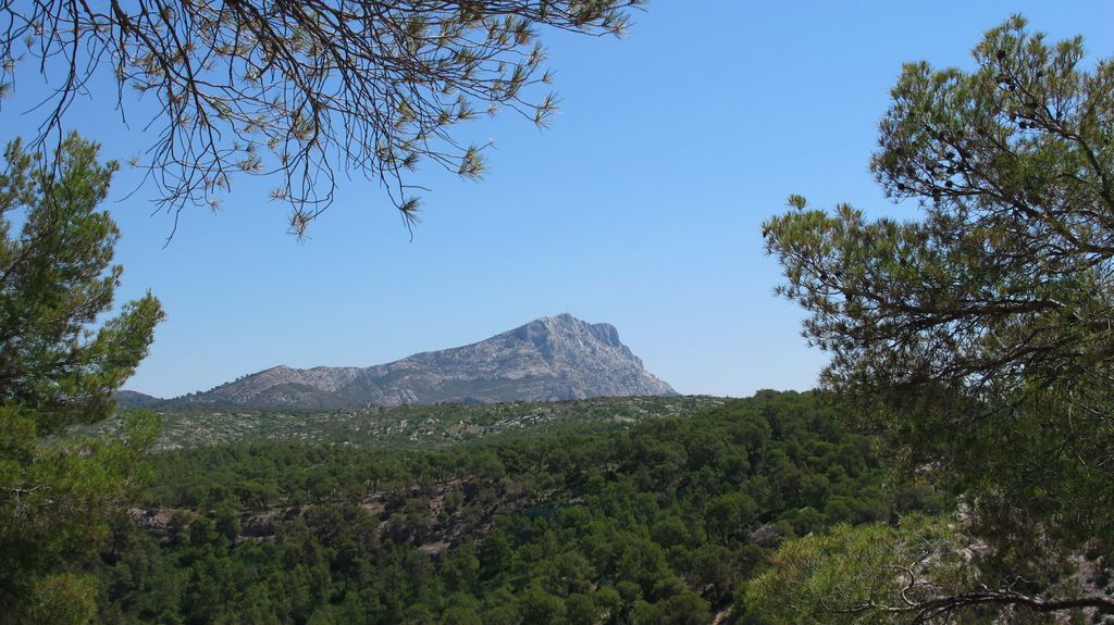 Forest on the slopes of the St Victoire mountain, by le Tholonet, nearby Aix-en-Provence