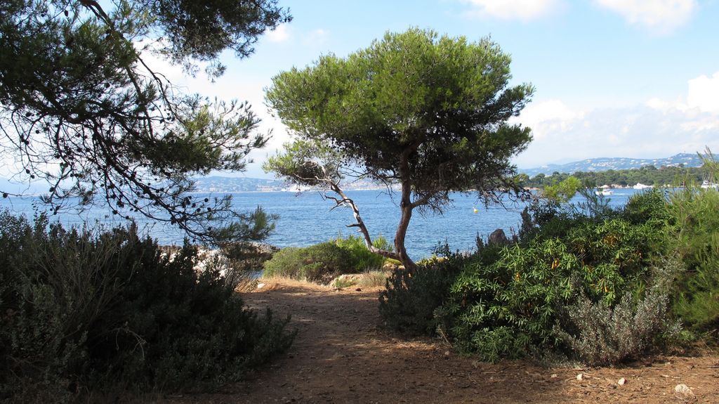 Île St. Honorat, Cannes