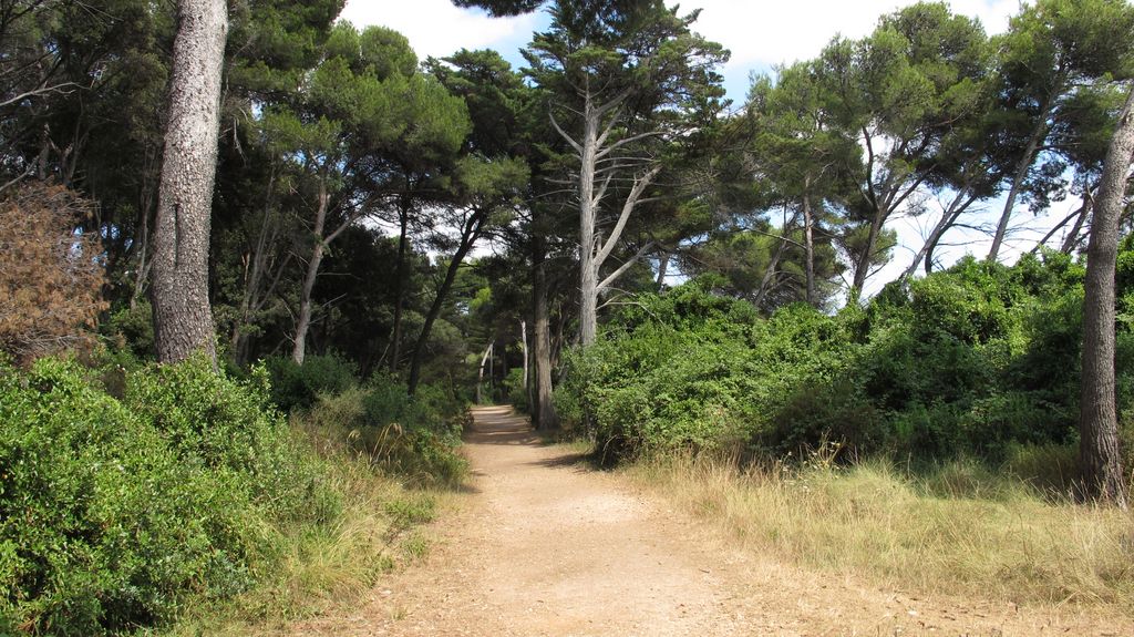 Île St. Honorat, Cannes