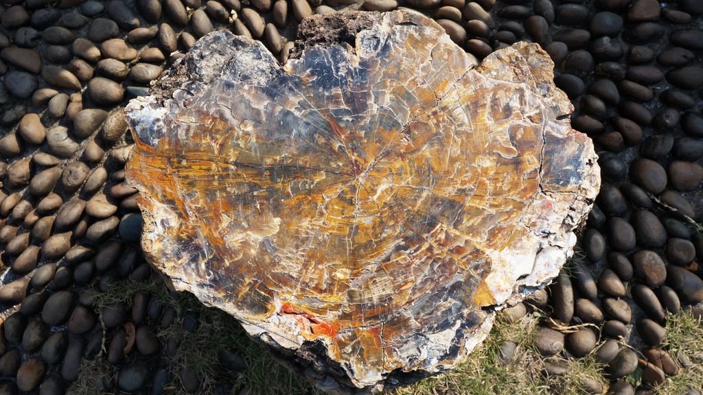 Petrified Forest, Fairly Lake Botanical Garden, Shenzhen, China