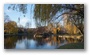 Boston Public Gardens