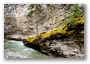 Johnston Canyon, by Banff