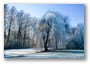 Winter in Beatrixpark, Amsterdam