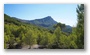 Late summer on the slopes of the Sainte Victoire, Aix-en-Provence