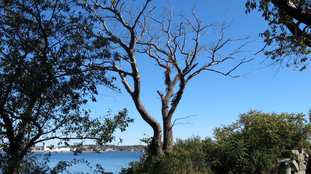 Stage Fort Park in Gloucester, Cape Ann, North-East of Boston