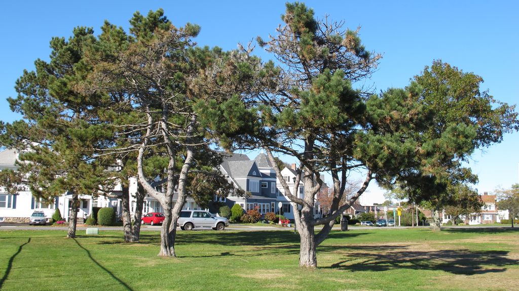 Beach of Gloucester, Cape Ann, North-East of Boston