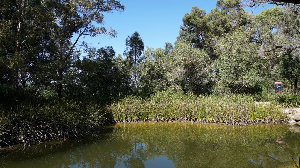 King's Park, Perth