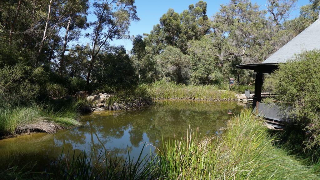 King's Park, Perth