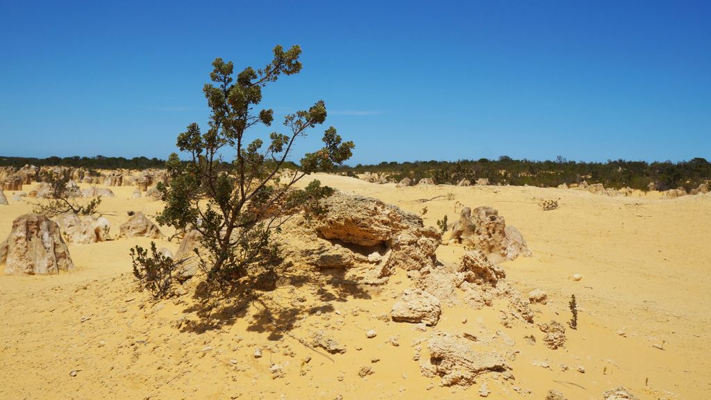 The Pinnacles, Nambung National Park, north of Perth