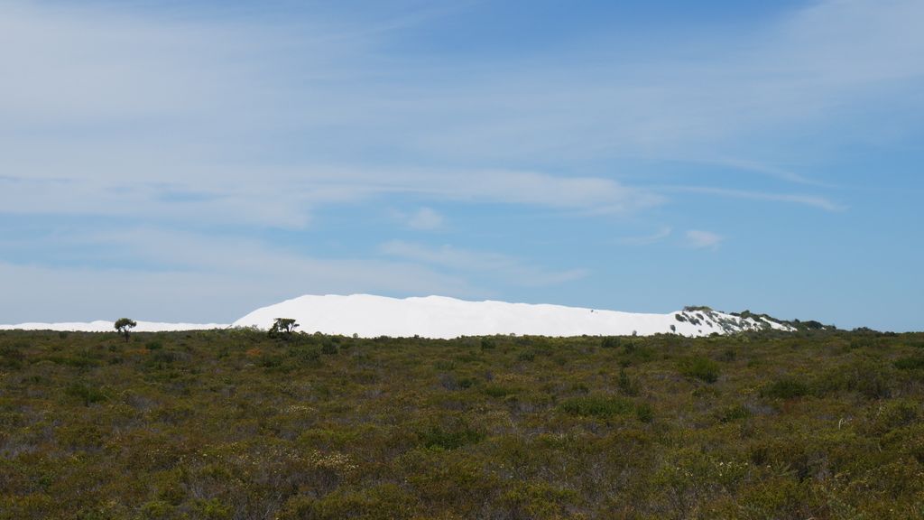 The bush north of Perth, Australia