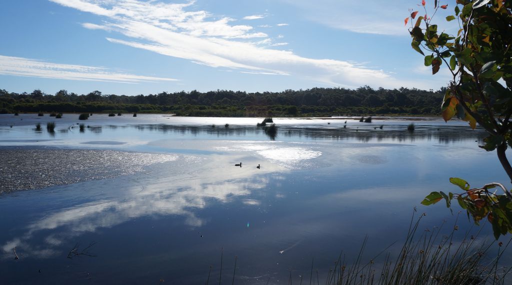 Lake Wagardu, Yanchep National Park, north of Perth