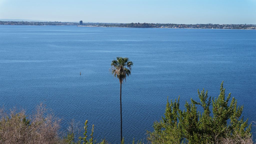 Kings Park, Perth