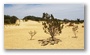 The Pinnacles, Nambung National Park, north of Perth