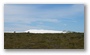 The bush north of Perth, Australia